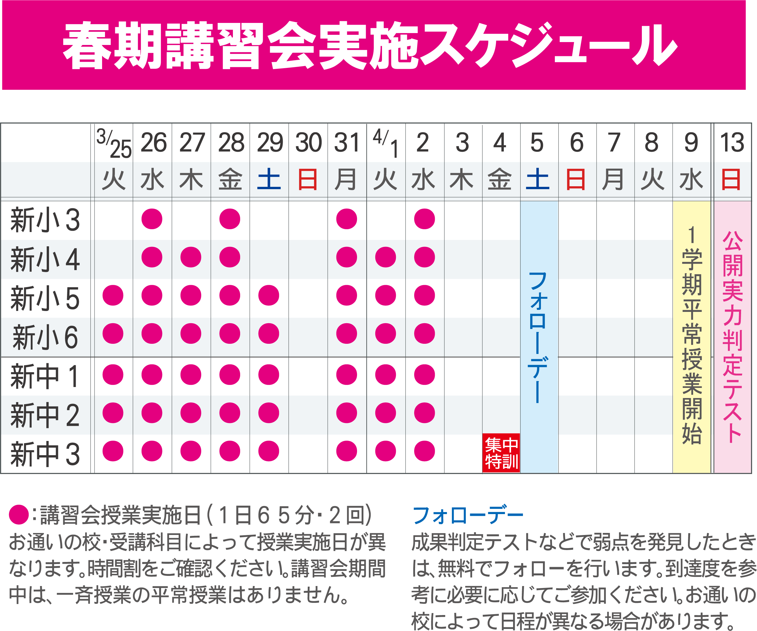 スケジュール